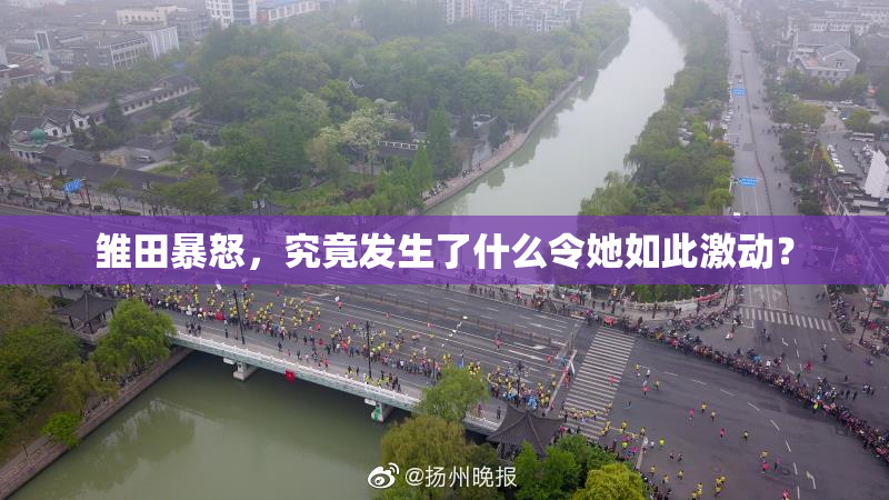 雏田暴怒，究竟发生了什么令她如此激动？