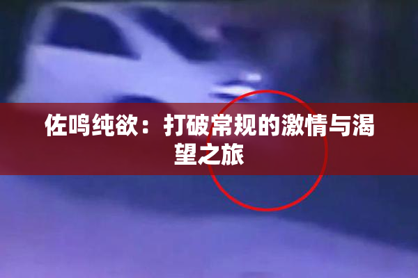 佐鸣纯欲：打破常规的激情与渴望之旅