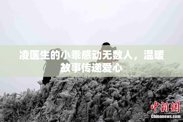 凌医生的小乖感动无数人，温暖故事传递爱心