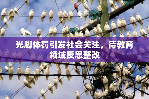 光脚体罚引发社会关注，待教育领域反思整改
