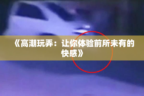 《高潮玩弄：让你体验前所未有的快感》