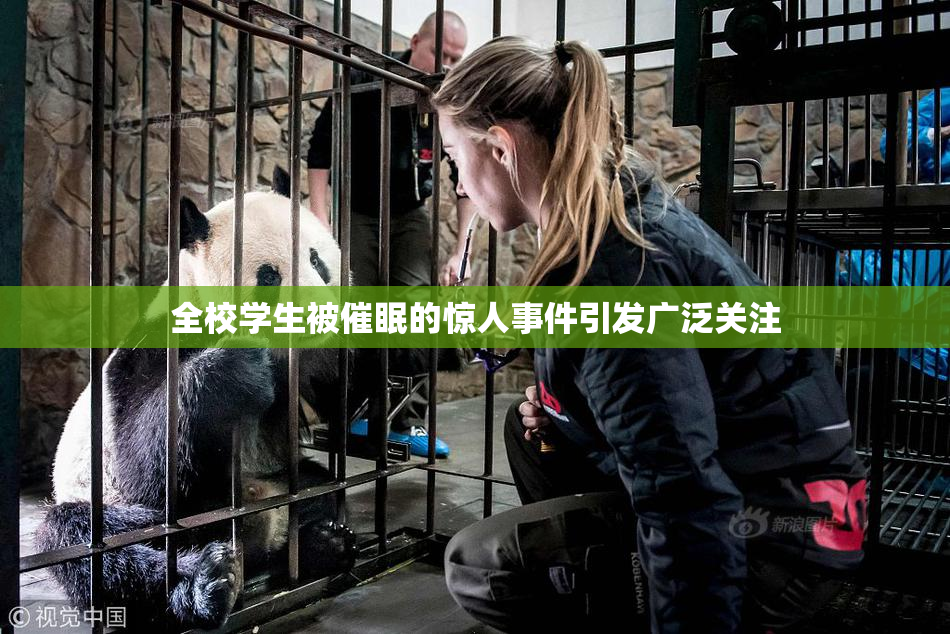 全校学生被催眠的惊人事件引发广泛关注