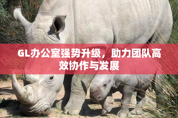 GL办公室强势升级，助力团队高效协作与发展
