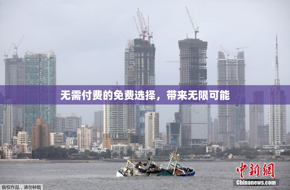 无需付费的免费选择，带来无限可能