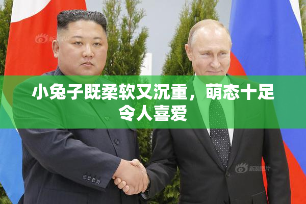 小兔子既柔软又沉重，萌态十足令人喜爱