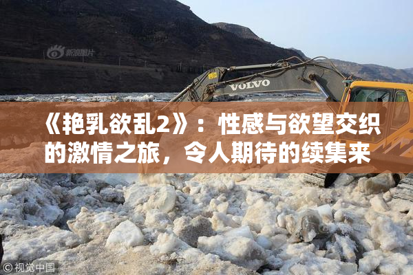 《艳乳欲乱2》：性感与欲望交织的激情之旅，令人期待的续集来袭！