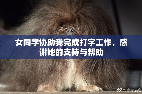 女同学协助我完成打字工作，感谢她的支持与帮助
