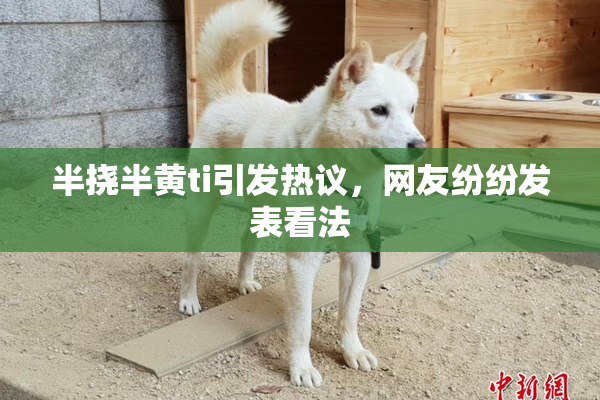 半挠半黄ti引发热议，网友纷纷发表看法
