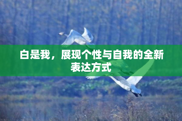 白是我，展现个性与自我的全新表达方式