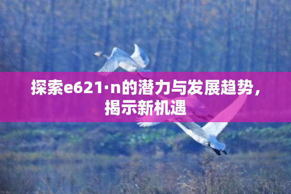 探索e621·n的潜力与发展趋势，揭示新机遇