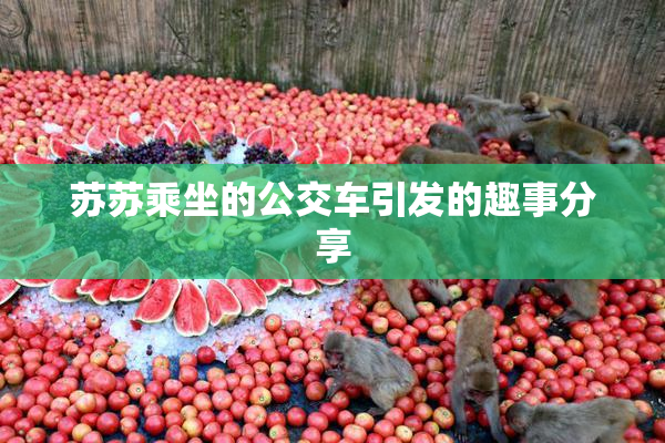 苏苏乘坐的公交车引发的趣事分享