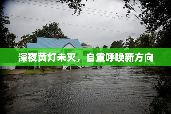 深夜黄灯未灭，自重呼唤新方向