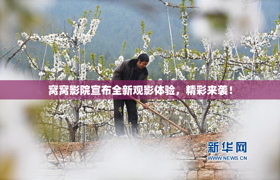 窝窝影院宣布全新观影体验，精彩来袭！