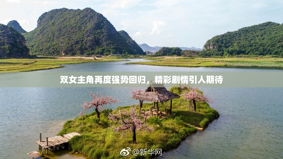 双女主角再度强势回归，精彩剧情引人期待
