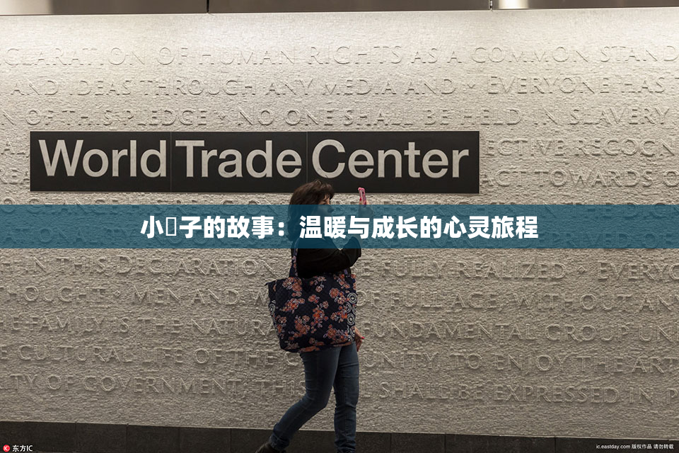 小峓子的故事：温暖与成长的心灵旅程