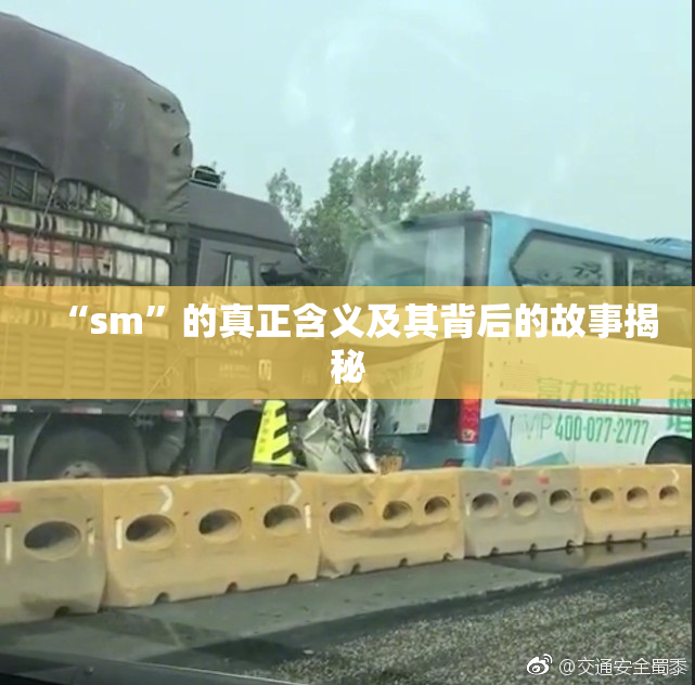 “sm”的真正含义及其背后的故事揭秘