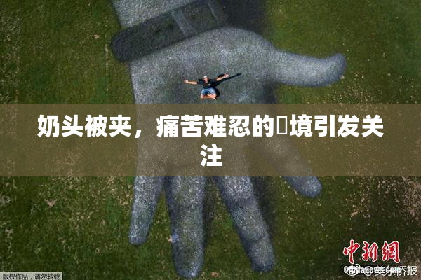 奶头被夹，痛苦难忍的囧境引发关注