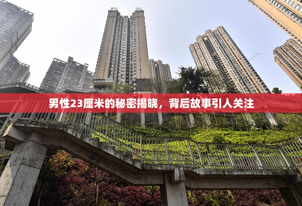 男性23厘米的秘密揭晓，背后故事引人关注