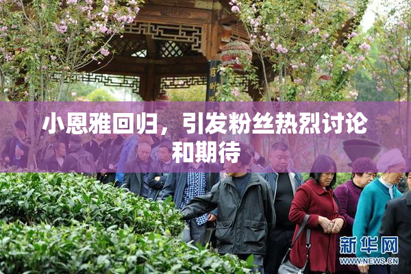 小恩雅回归，引发粉丝热烈讨论和期待
