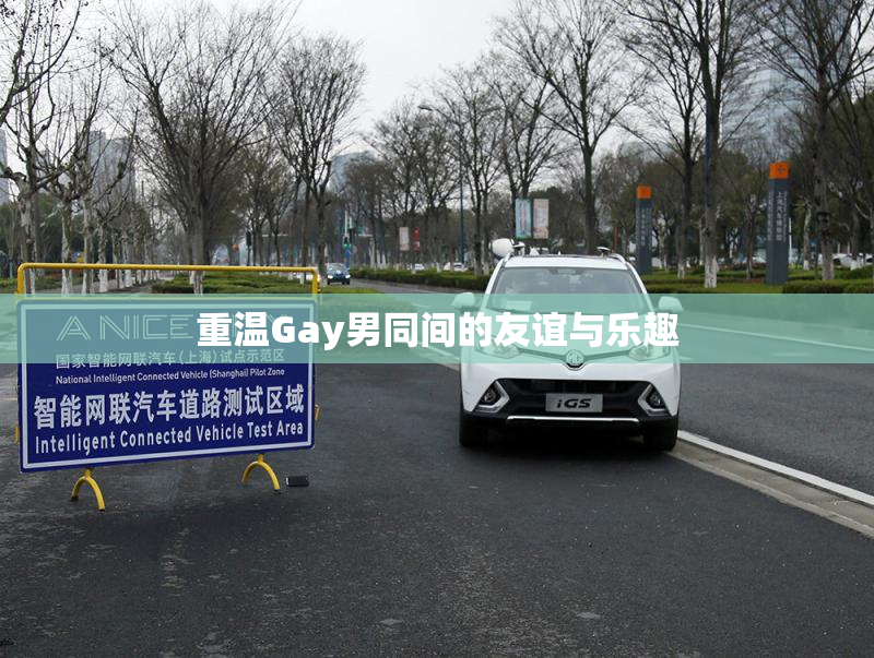 重温Gay男同间的友谊与乐趣