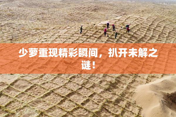 少萝重现精彩瞬间，扒开未解之谜！