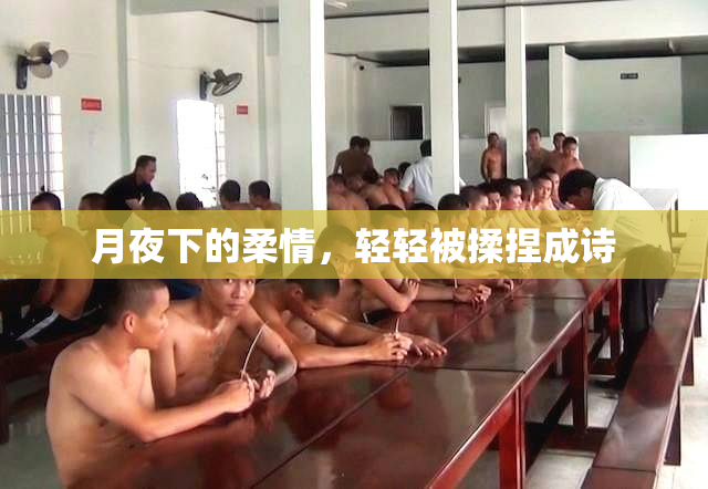 月夜下的柔情，轻轻被揉捏成诗
