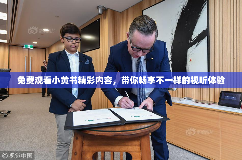 免费观看小黄书精彩内容，带你畅享不一样的视听体验