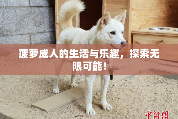 菠萝成人的生活与乐趣，探索无限可能！