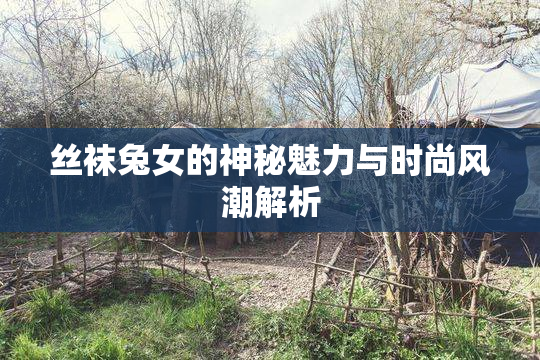 丝袜兔女的神秘魅力与时尚风潮解析