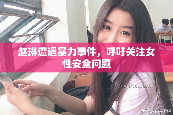 赵琳遭遇暴力事件，呼吁关注女性安全问题