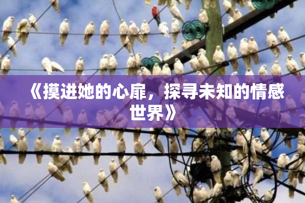 《摸进她的心扉，探寻未知的情感世界》