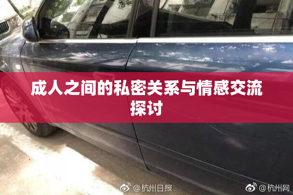 成人之间的私密关系与情感交流探讨