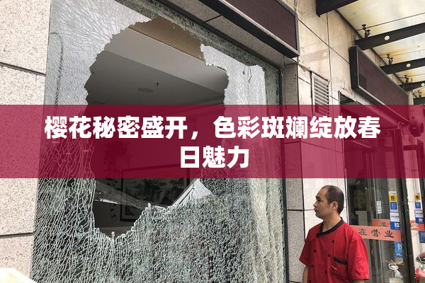 樱花秘密盛开，色彩斑斓绽放春日魅力