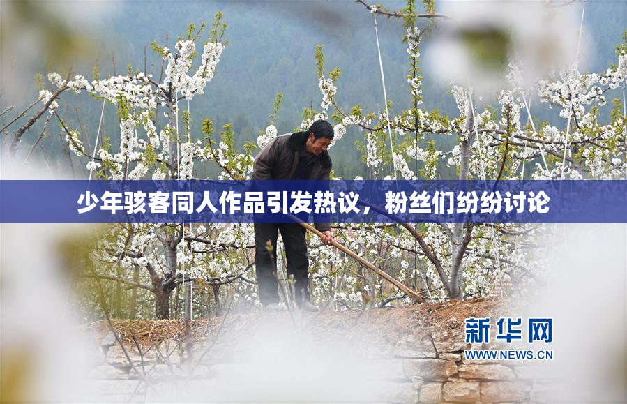 少年骇客同人作品引发热议，粉丝们纷纷讨论