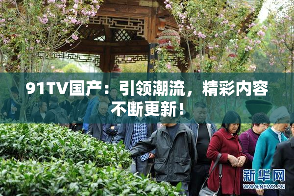 91TV国产：引领潮流，精彩内容不断更新！
