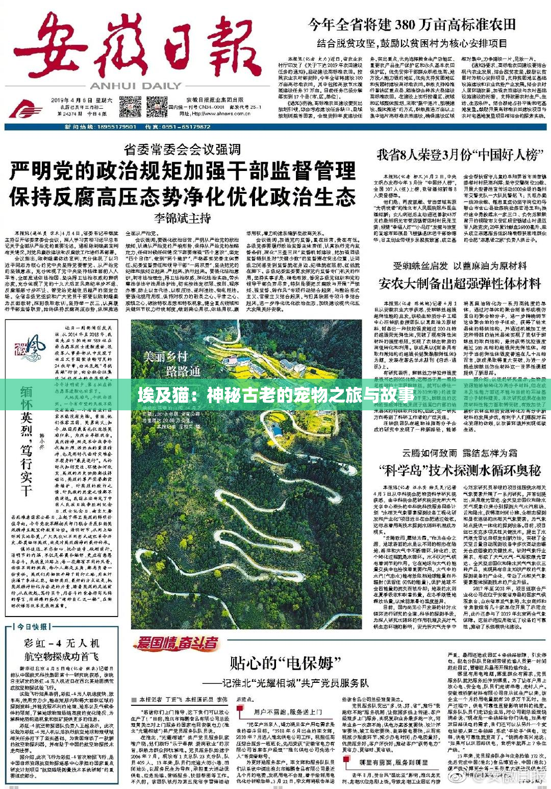 埃及猫：神秘古老的宠物之旅与故事