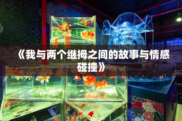 《我与两个继拇之间的故事与情感碰撞》