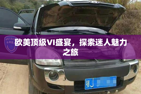 欧美顶级VI盛宴，探索迷人魅力之旅