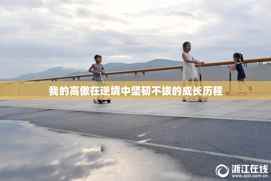 我的高傲在逆境中坚韧不拔的成长历程