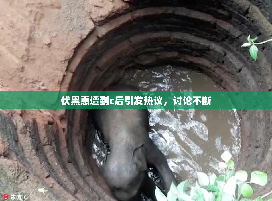 伏黑惠遭到c后引发热议，讨论不断