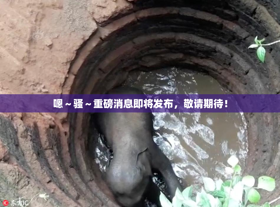 嗯～骚～重磅消息即将发布，敬请期待！