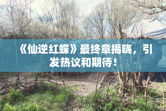 《仙逆红蝶》最终章揭晓，引发热议和期待！