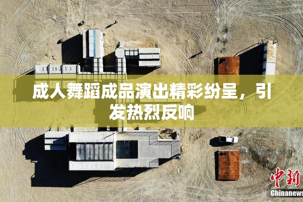 成人舞蹈成品演出精彩纷呈，引发热烈反响