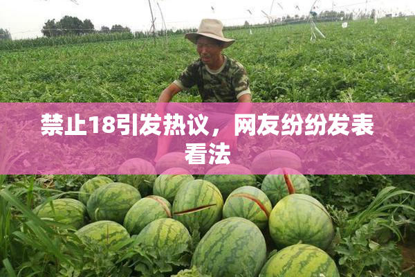 禁止18引发热议，网友纷纷发表看法