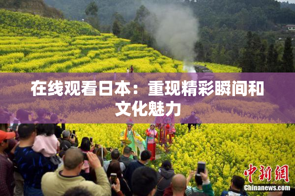 在线观看日本：重现精彩瞬间和文化魅力
