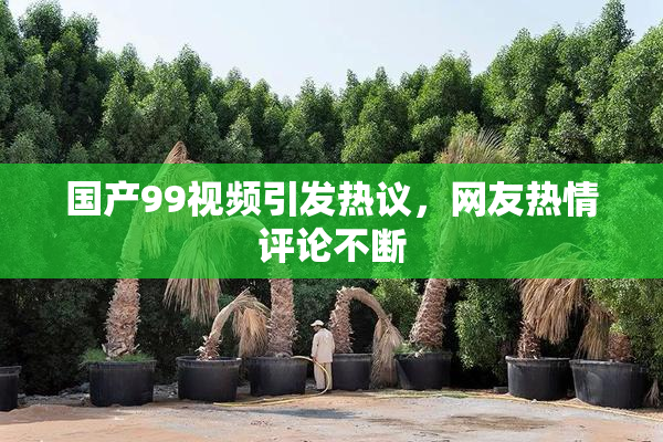 国产99视频引发热议，网友热情评论不断