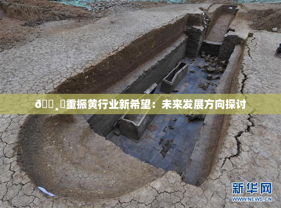 🌸‌重振黄行业新希望：未来发展方向探讨