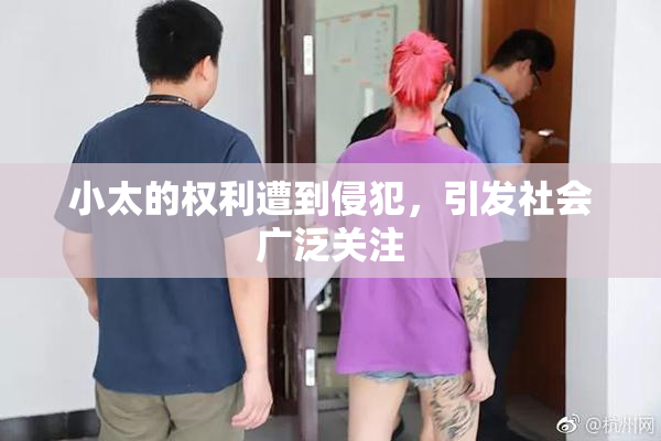 小太的权利遭到侵犯，引发社会广泛关注