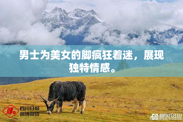 男士为美女的脚疯狂着迷，展现独特情感。