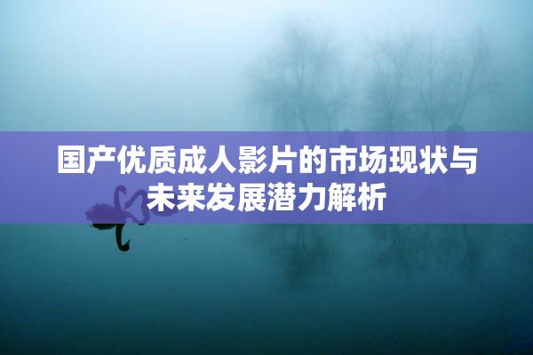 国产优质成人影片的市场现状与未来发展潜力解析